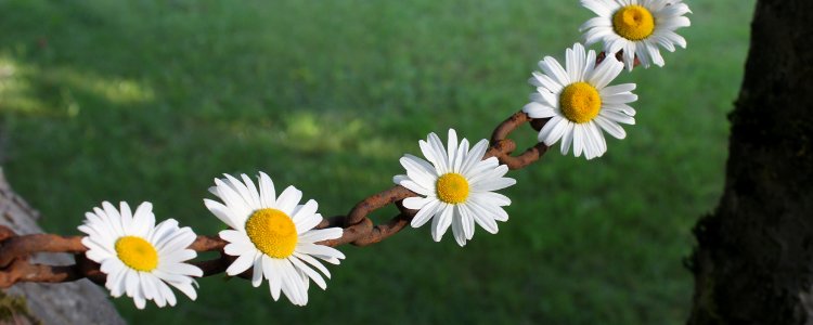 Détecter les liens morts de vos pages Web avec W3C Link Checker